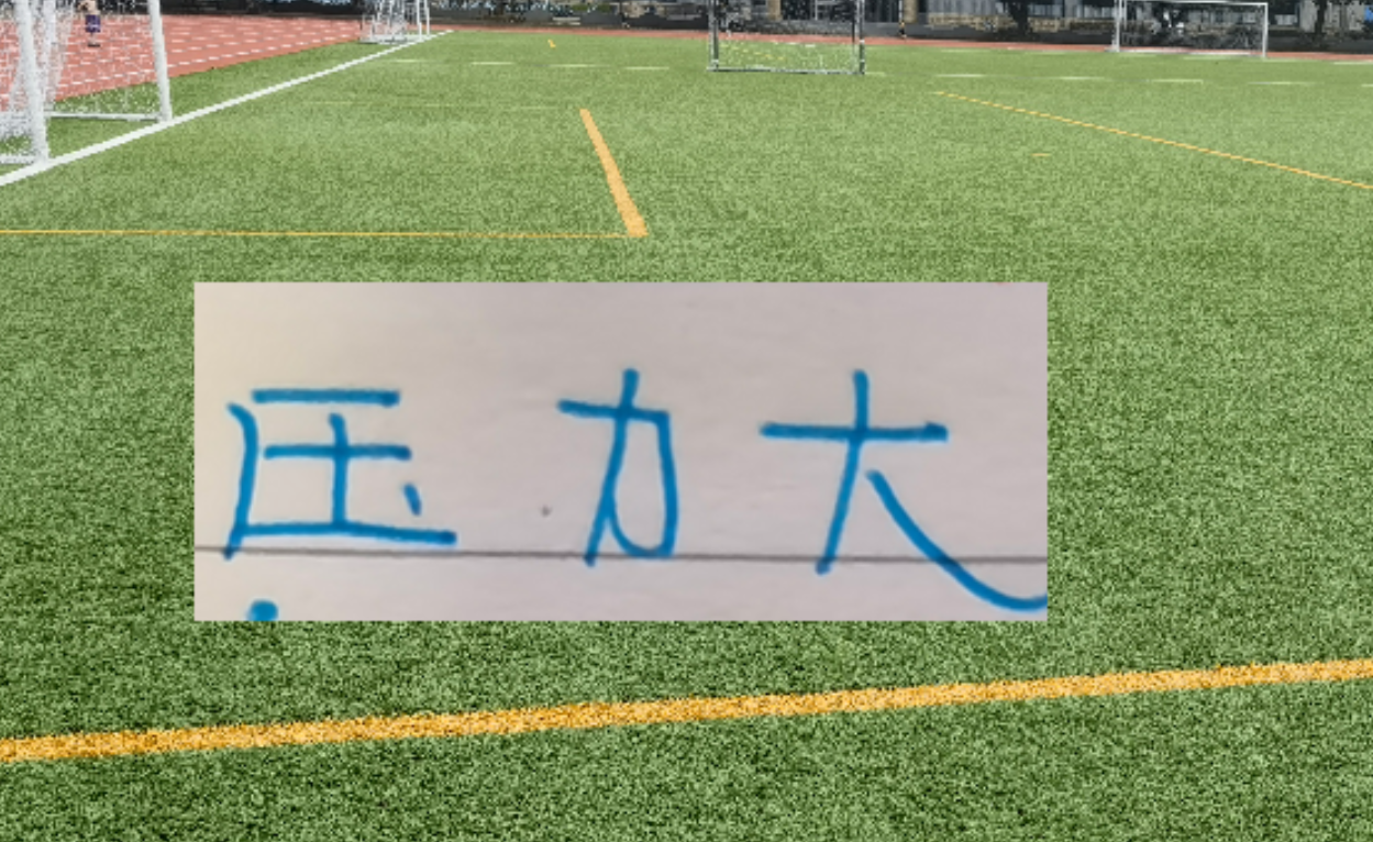 开云体育app下载-冰火两重天！四大澳洲教头 浙江跟北京国安主帅不好过 谁会先下课